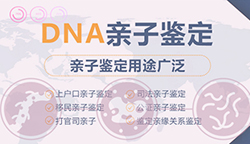 河北司法DNA鉴定如何做，河北司法亲子鉴定哪里做的准