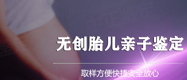 河北怀孕十四周能办理胎儿亲子鉴定吗,河北办理无创怀孕亲子鉴定大概多少钱