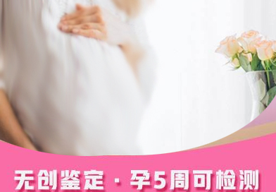 河北怀孕了如何办理DNA亲子鉴定,河北怀孕做亲子鉴定办理的流程