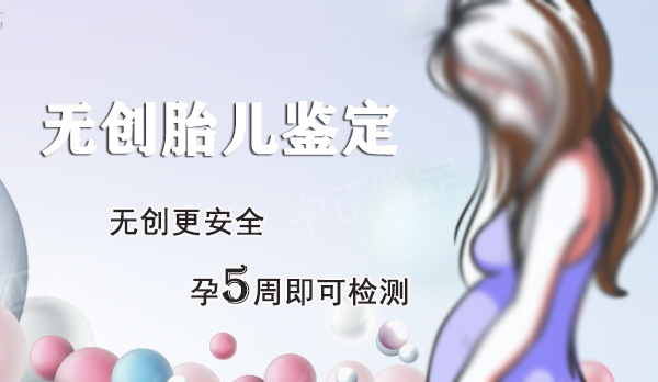 河北刚怀孕怎么做孕期亲子鉴定,河北办理无创产前亲子鉴定收费多少钱