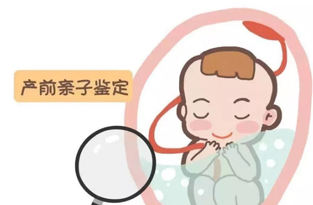 河北怀孕如何办理DNA亲子鉴定,河北胎儿DNA亲子鉴定基本流程